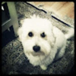 Meet your Posher, Gwen